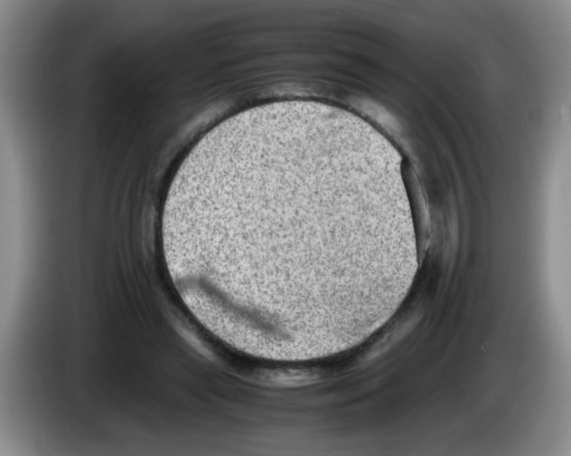 X0000083560445200703091619