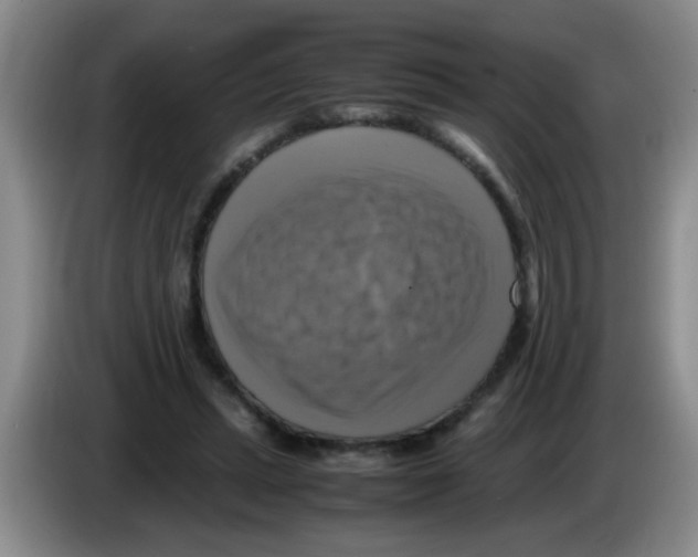 X0000083560447200703091620