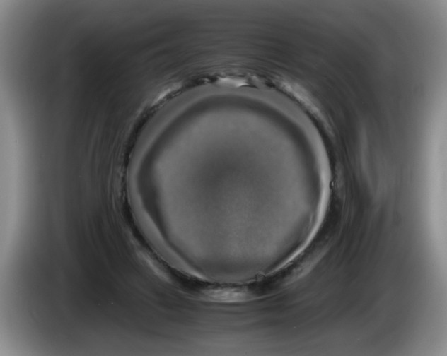 X0000083560449200703091620