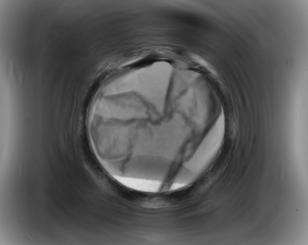 X0000083560451200703091620