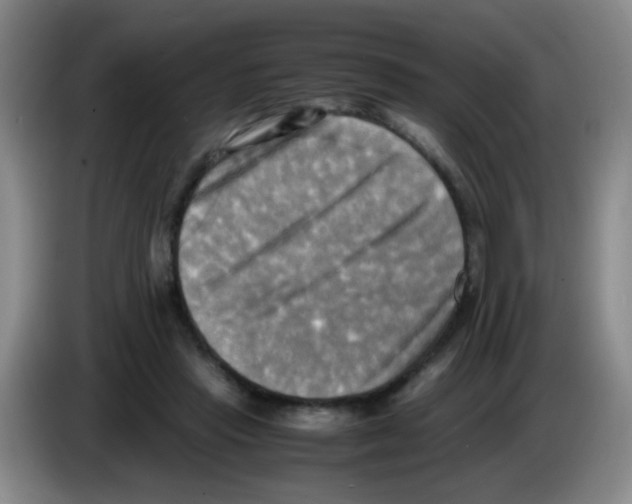 X0000083560453200703091620