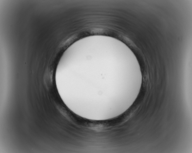 X0000083560454200703091620