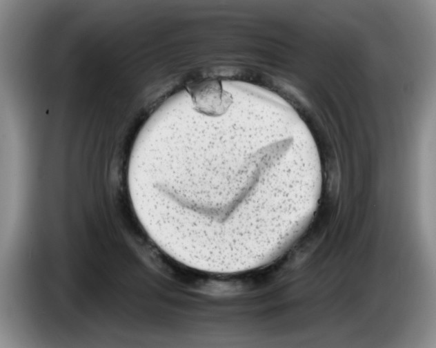 X0000083560455200703091620