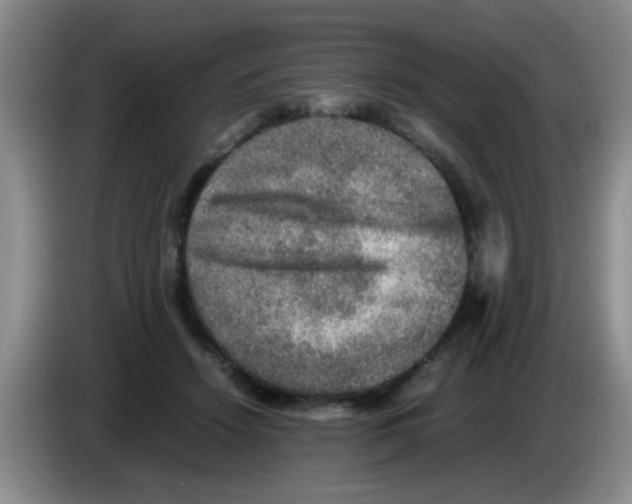 X0000083560456200703091620