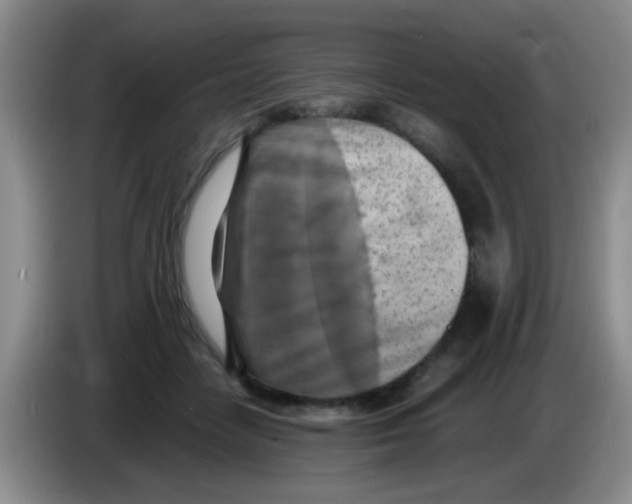 X0000083560458200703091620