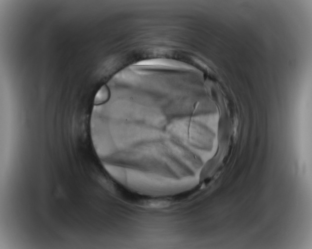 X0000083560462200703091620