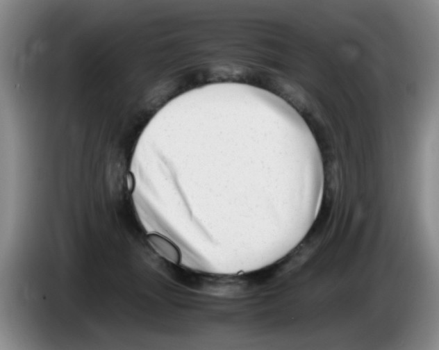 X0000083560463200703091620