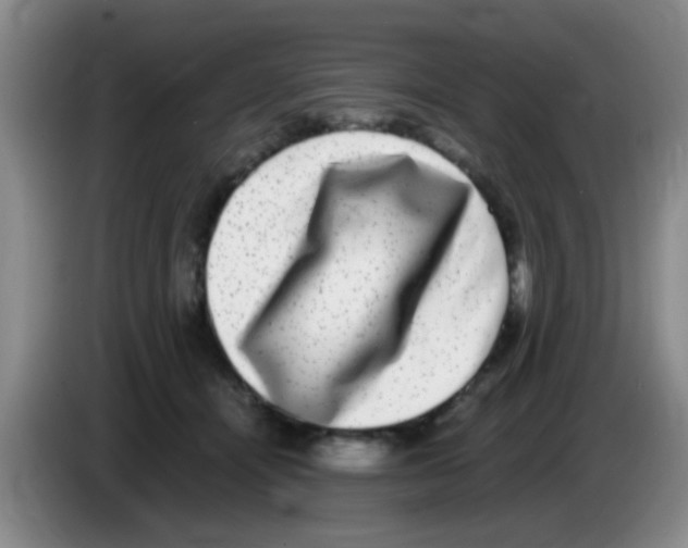 X0000083560464200703091620