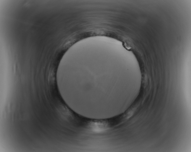 X0000083560466200703091620