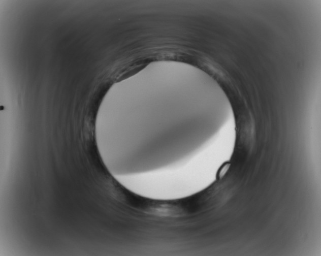 X0000083560467200703091620