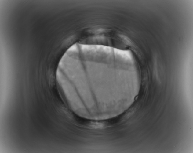 X0000083560469200703091620