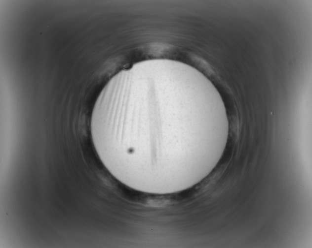 X0000083560470200703091620