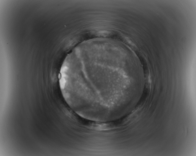 X0000083560472200703091620