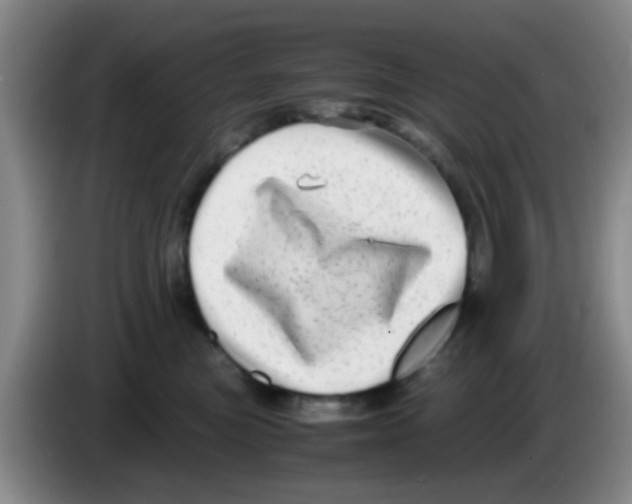 X0000083560473200703091620