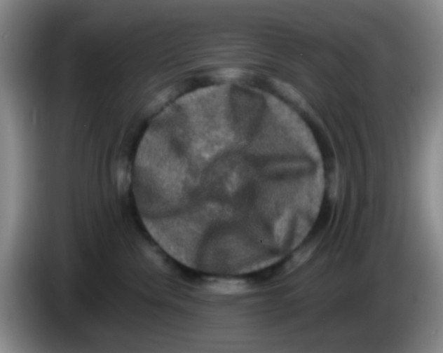 X0000083560476200703091620