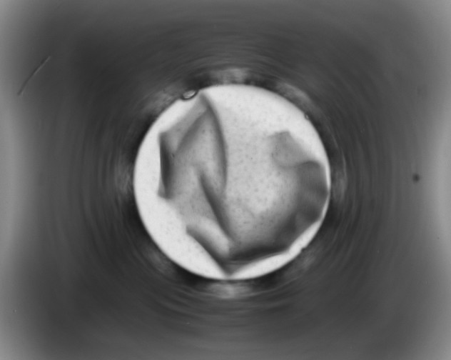 X0000083560477200703091620