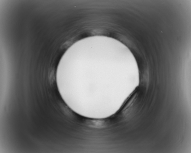 X0000083560478200703091620