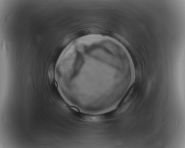 X0000083560479200703091620