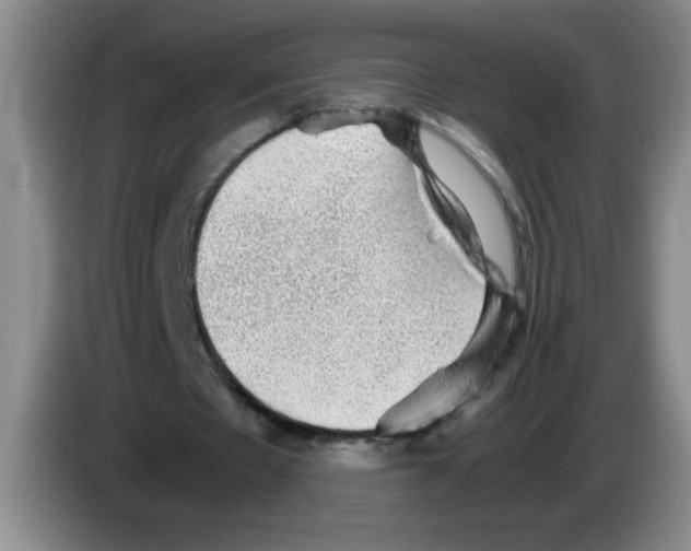 X0000083560481200703091619