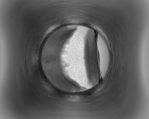 X0000083560483200703091619