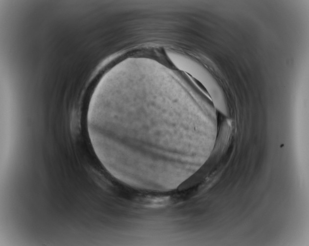 X0000083560484200703091619