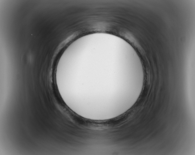 X0000083560486200703091619