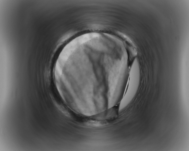 X0000083560488200703091619