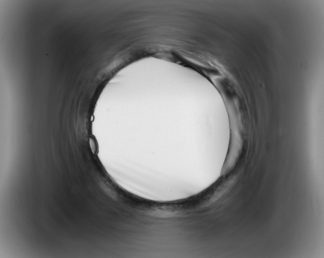 X0000083560489200703091619