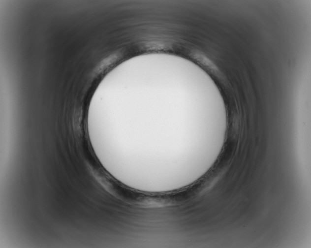 X0000083560490200703091619