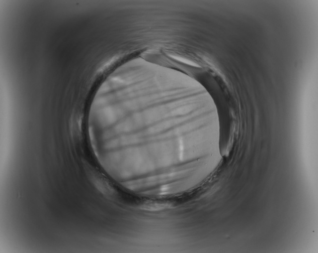 X0000083560491200703091619