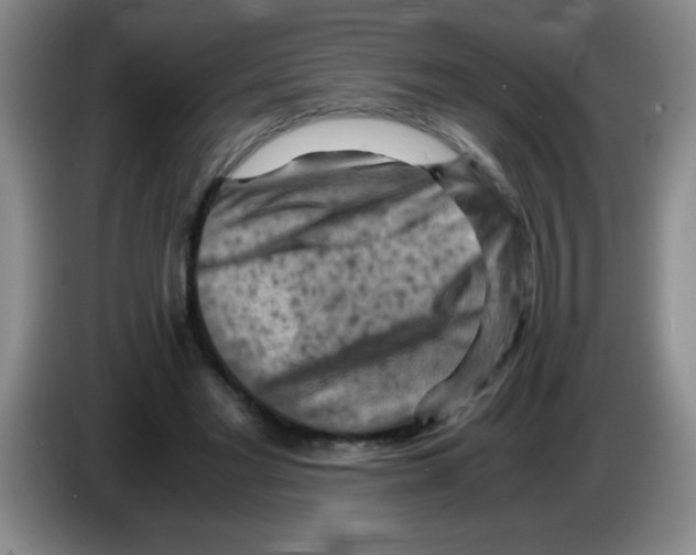 X0000083560493200703091619