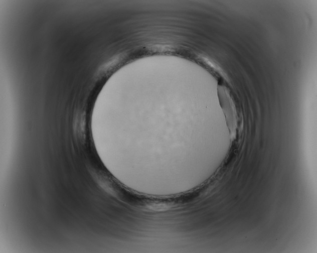 X0000083560494200703091619