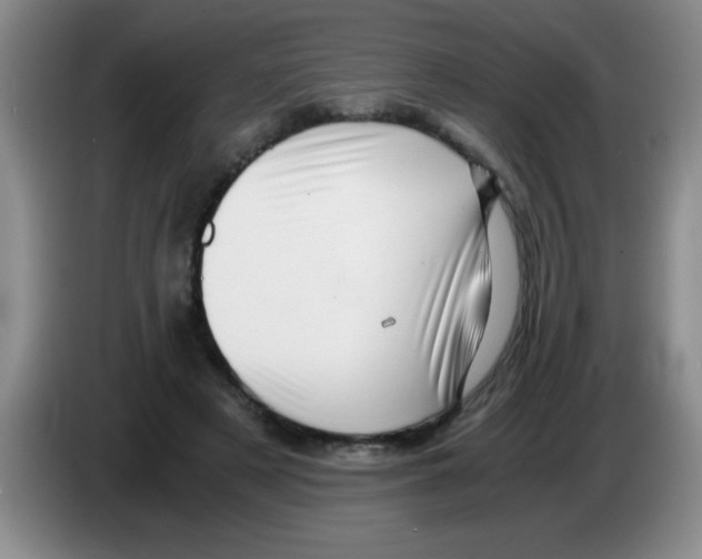 X0000083560497200703091619