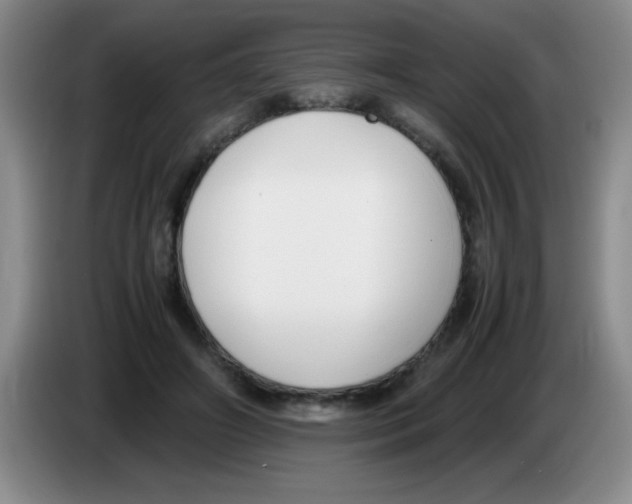 X0000083560498200703091619