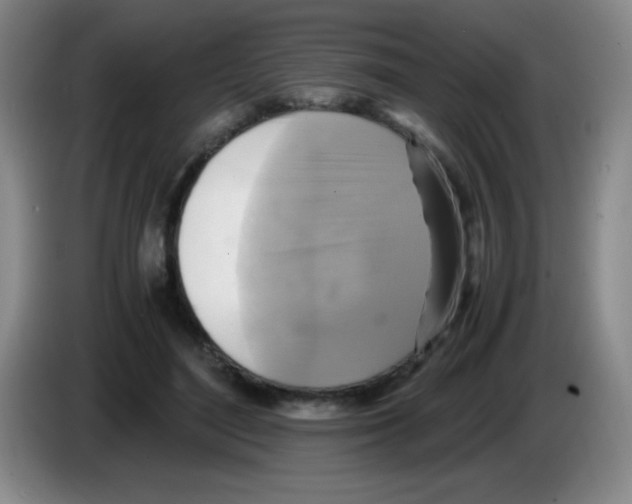 X0000083560500200703091619