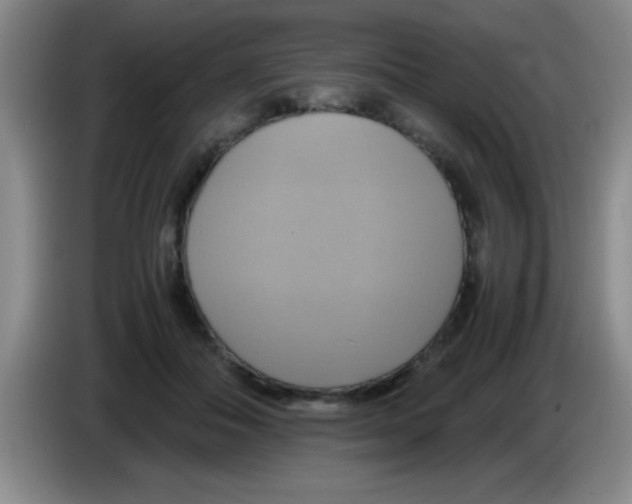 X0000083560506200703091619