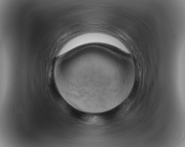 X0000083560507200703091619