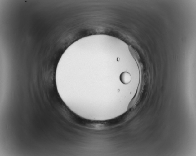 X0000083560509200703091619