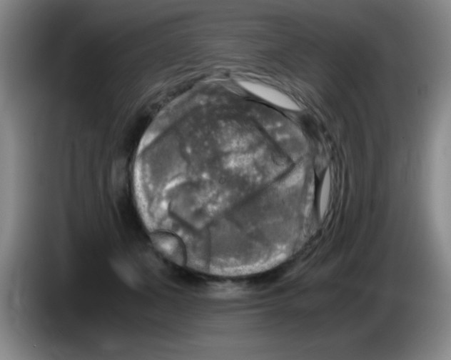 X0000083560511200703091619