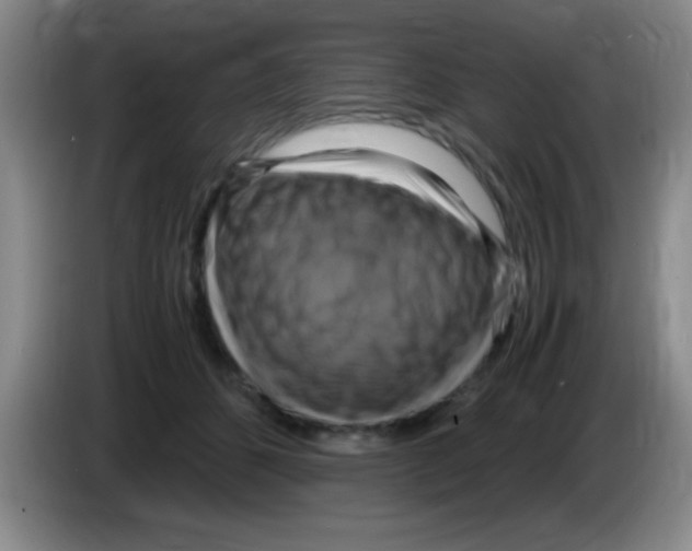 X0000083560512200703091619