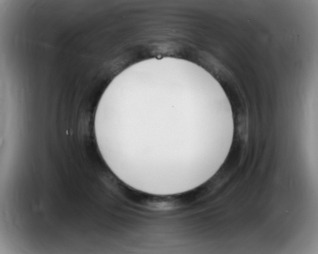 X0000083560514200703091619