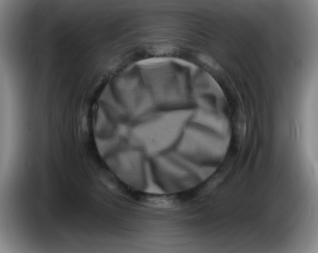 X0000083560516200703091619