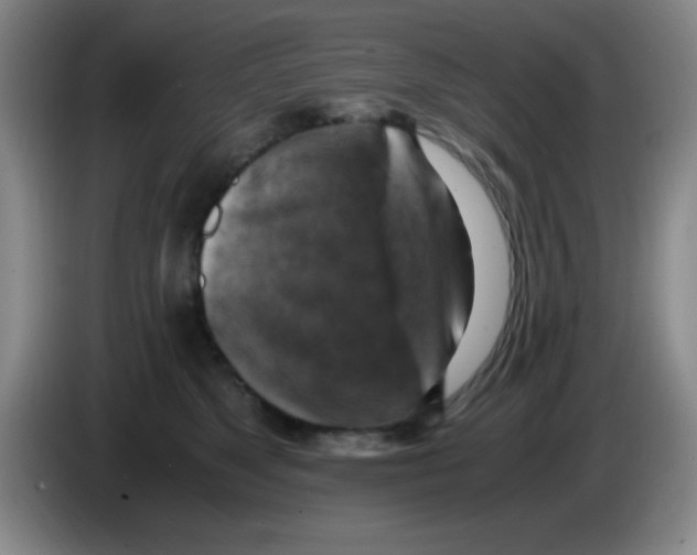 X0000083560517200703091619