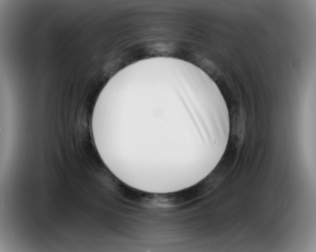 X0000083560518200703091619