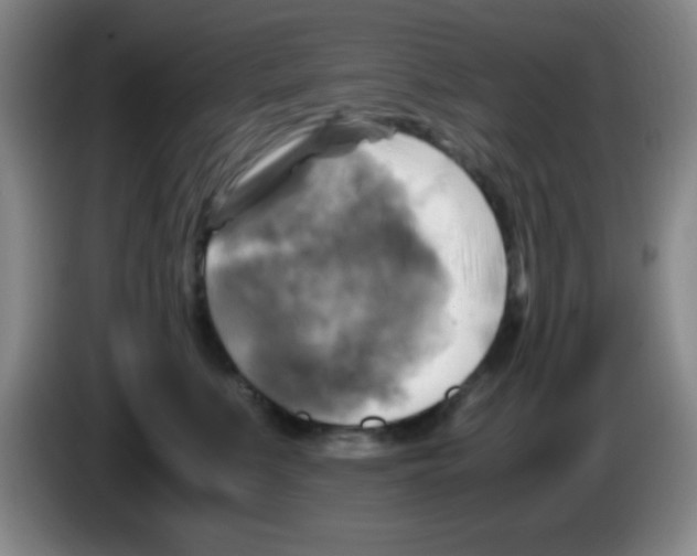 X0000083560519200703091619