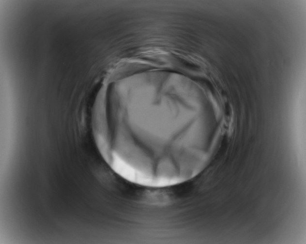 X0000083560520200703091619