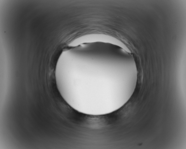 X0000083560521200703091619