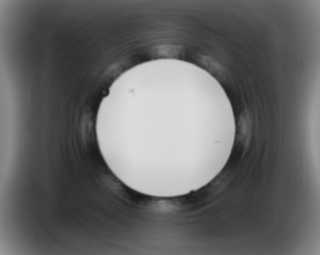 X0000083560522200703091619