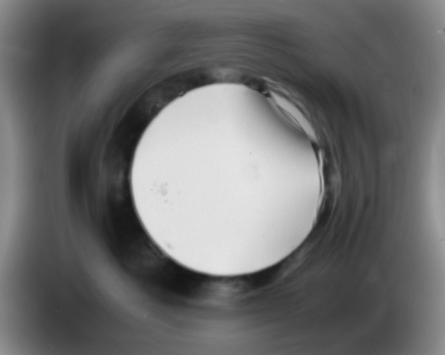 X0000083560525200703091619