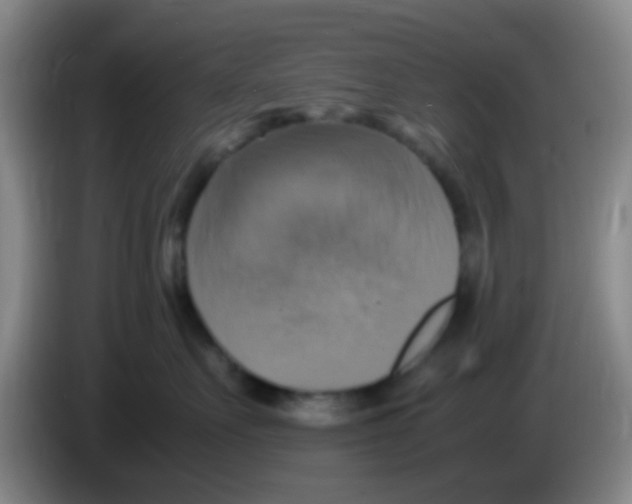 X0000083560527200703091619